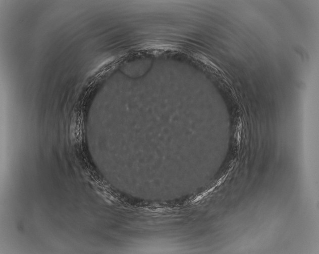 X0000112001014200908031224