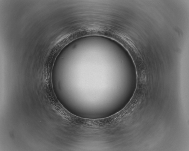 X0000112001015200908031224