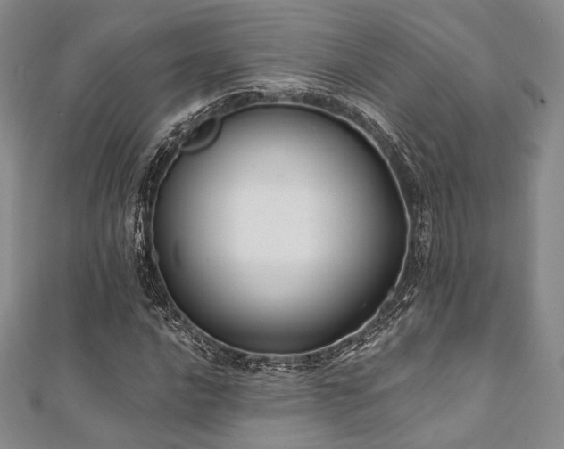 X0000112001016200908031224