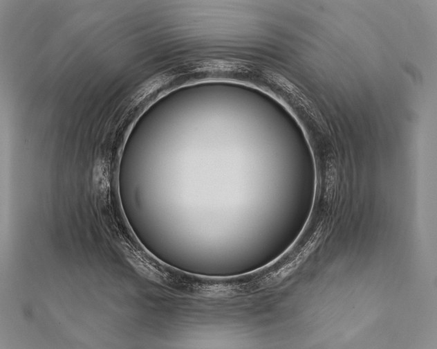 X0000112001017200908031224