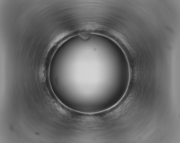 X0000112001018200908031224
