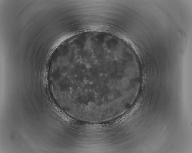 X0000112001019200908031224