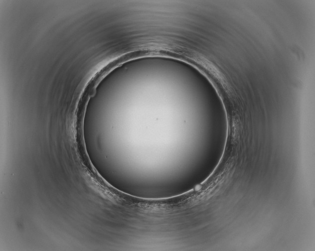 X0000112001020200908031224