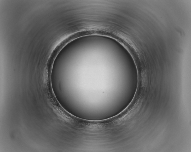 X0000112001021200908031224