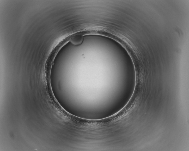 X0000112001022200908031224