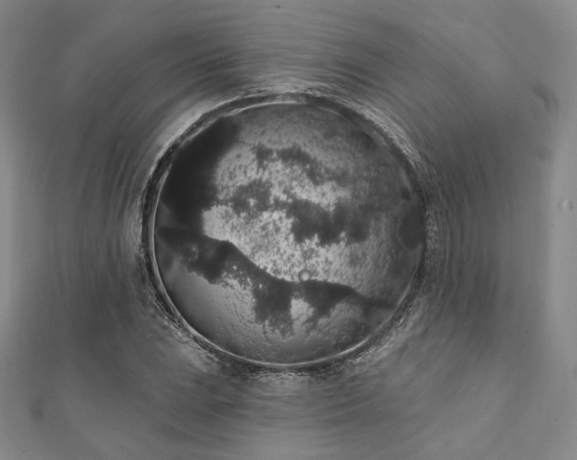 X0000112001023200908031224