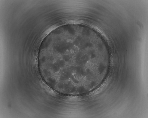 X0000112001025200908031224