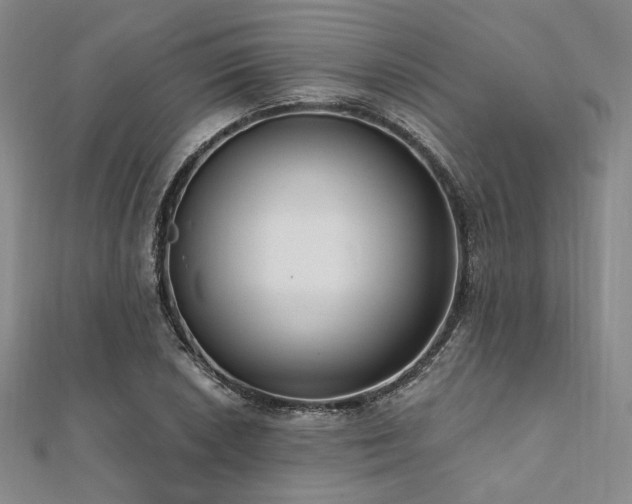 X0000112001026200908031224