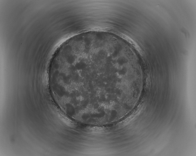 X0000112001027200908031224