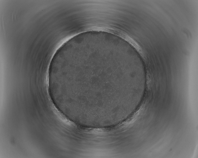 X0000112001028200908031224