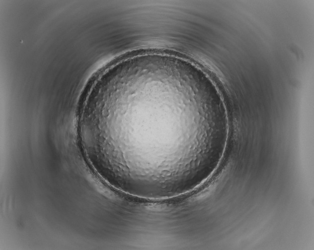 X0000112001029200908031224