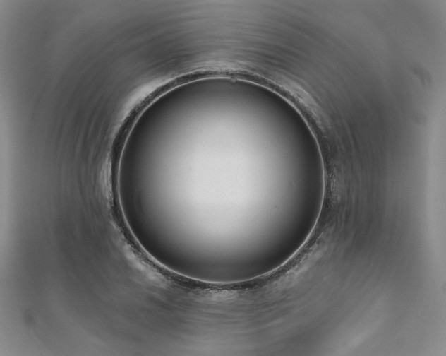X0000112001030200908031224