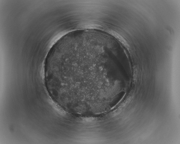 X0000112001031200908031224