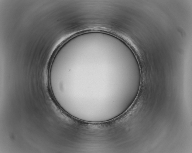 X0000112001032200908031224