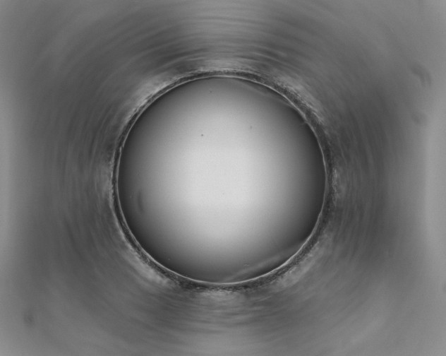 X0000112001033200908031224