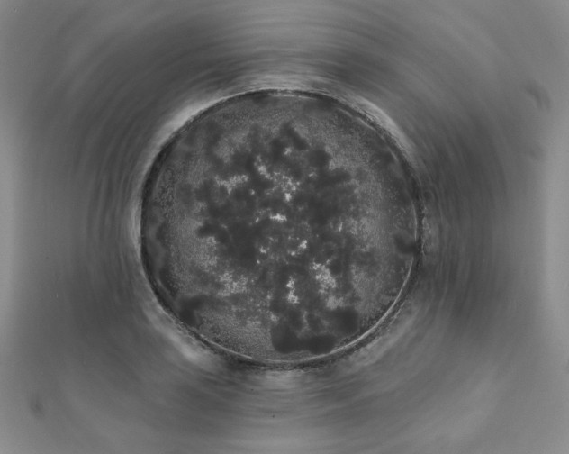 X0000112001035200908031224