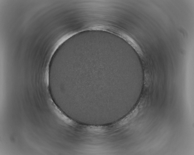 X0000112001036200908031225