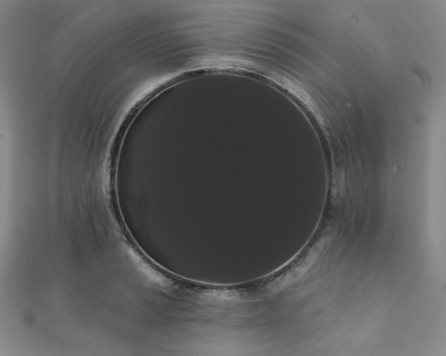 X0000112001037200908031225