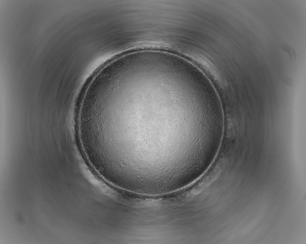 X0000112001038200908031225