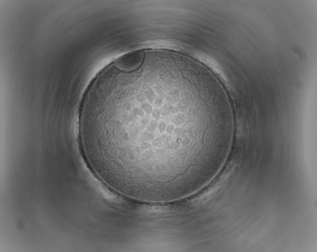 X0000112001040200908031225