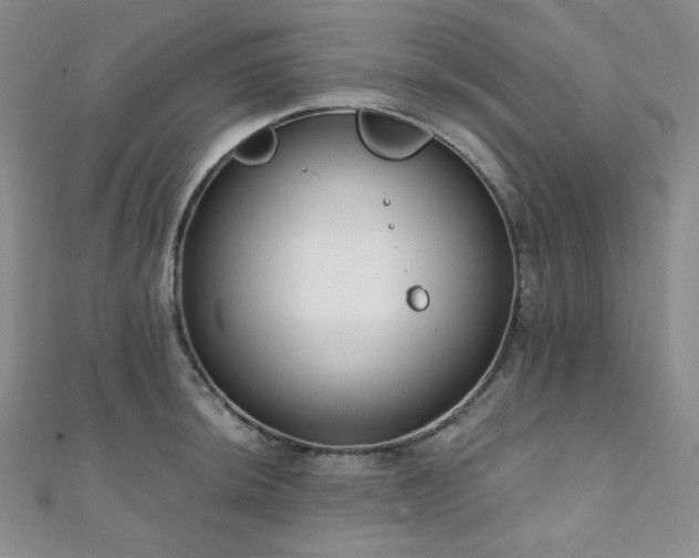 X0000112001044200908031225