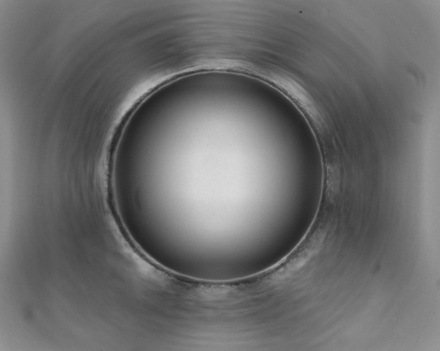 X0000112001046200908031225