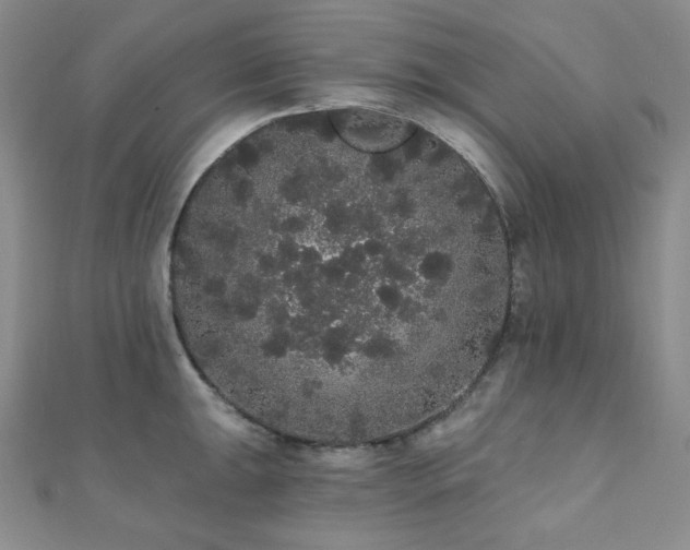 X0000112001047200908031225