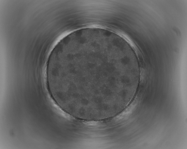 X0000112001048200908031225