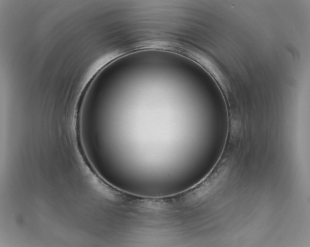 X0000112001050200908031225