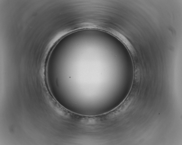 X0000112001051200908031225