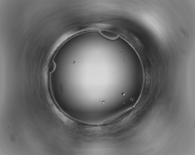 X0000112001054200908031225