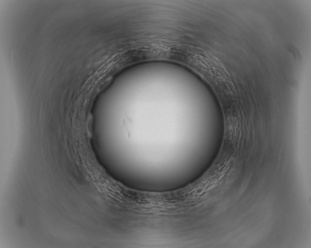 X0000112001057200908031224