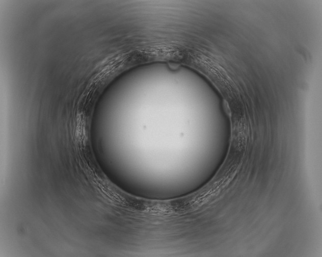 X0000112001058200908031224