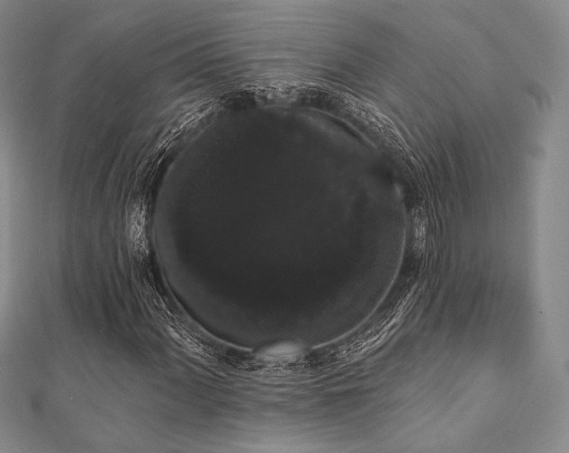 X0000112001060200908031224