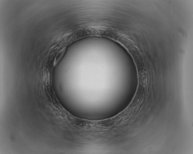 X0000112001061200908031224