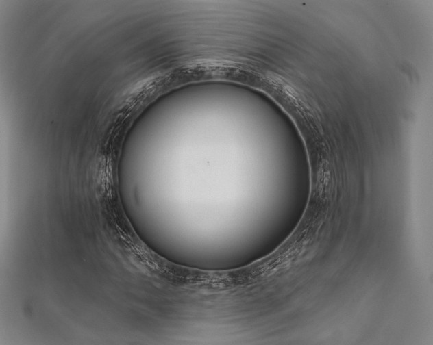 X0000112001062200908031224