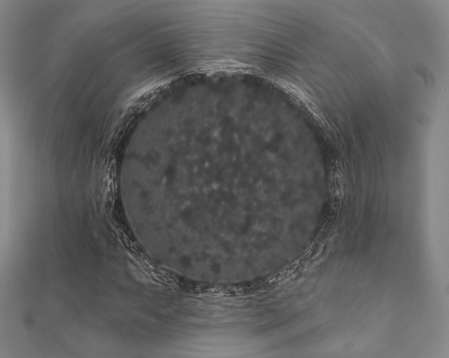 X0000112001063200908031224