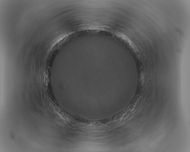 X0000112001064200908031224