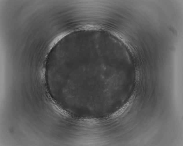 X0000112001066200908031224