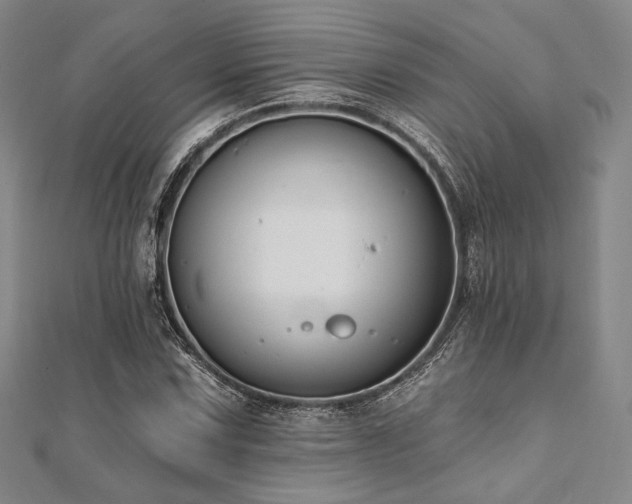 X0000112001067200908031224