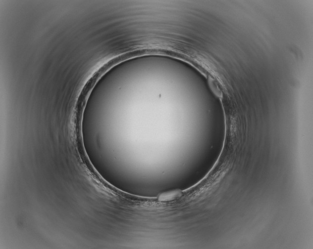 X0000112001068200908031224