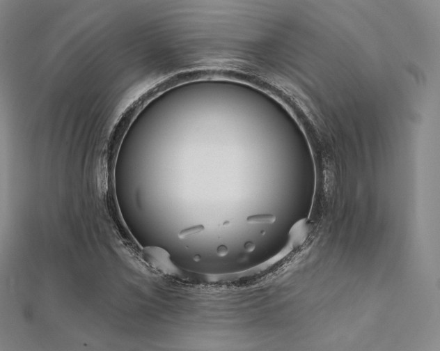 X0000112001069200908031224