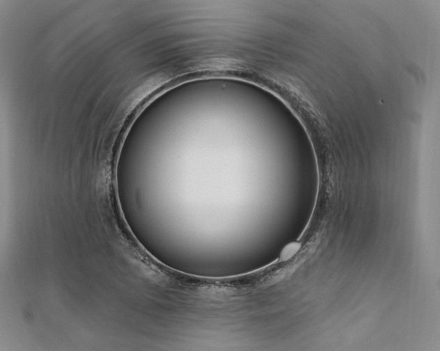 X0000112001073200908031224