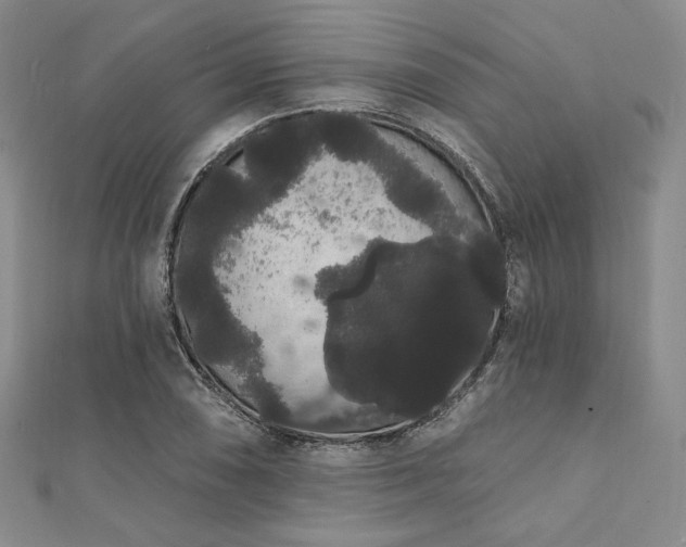 X0000112001074200908031224