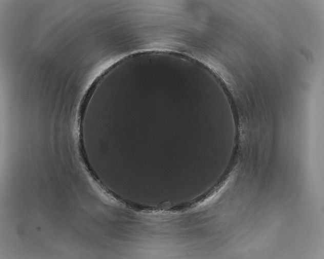 X0000112001077200908031224