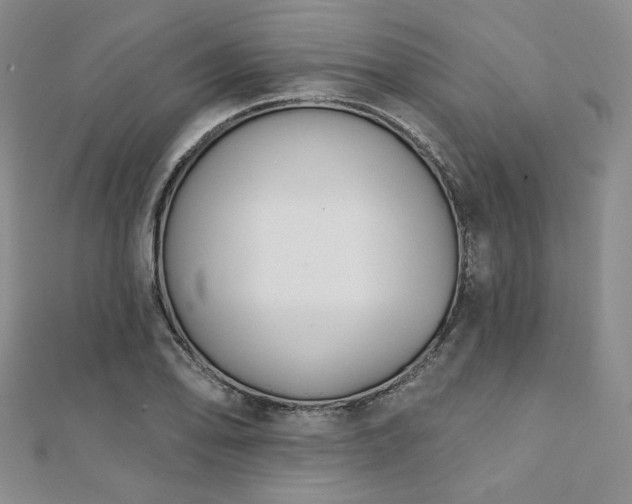 X0000112001078200908031224