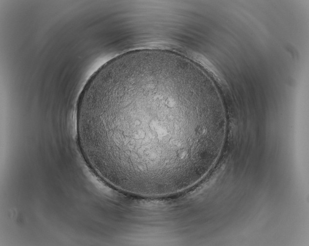 X0000112001079200908031224