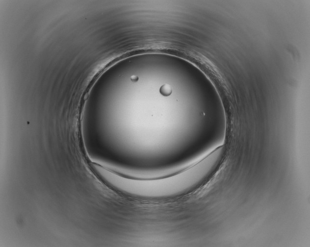 X0000112001081200908031224