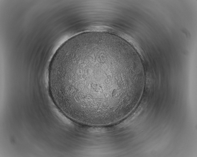 X0000112001083200908031224