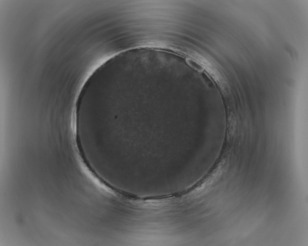 X0000112001084200908031224